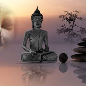 Workshop op dinsdag 16 september - Wereld Vrede, Vergeving en Veiligheid 15.00 - 17.00u